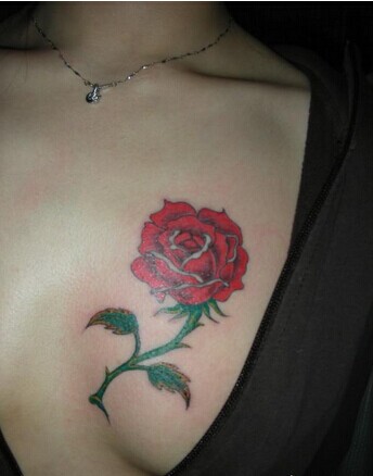 性感女生胸部带刺玫瑰纹身图图片