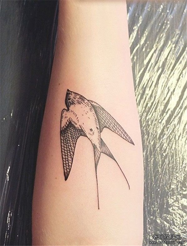 胳膊性感小燕子纹身图案图片