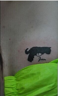 美女胸部上的袖珍手枪图案纹身图片