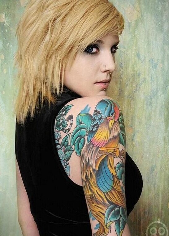 推荐一款女性手臂彩色鹦鹉纹身图案图片