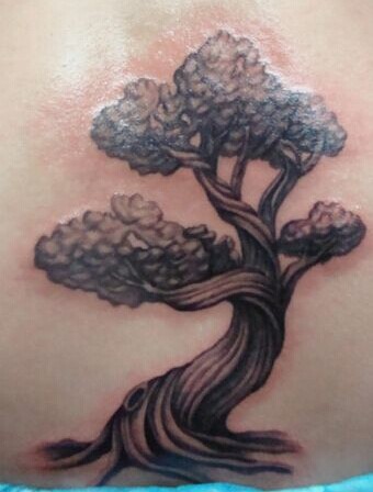 时尚美女腰部唯美经典的风景树纹身图图片