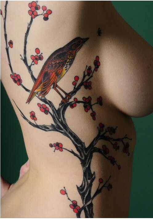 美女侧腰部位经典性感梅花喜鹊纹身图图片