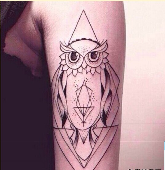 女性手臂个性猫头鹰纹身图案欣赏图片