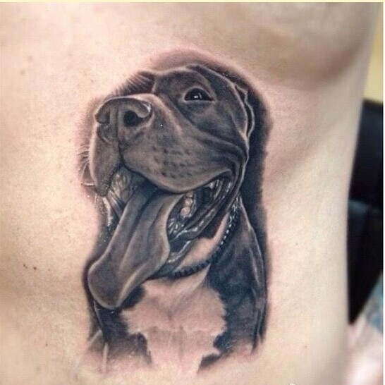 侧腰时尚个性汪星人纹身图案图片缩略频道推荐图