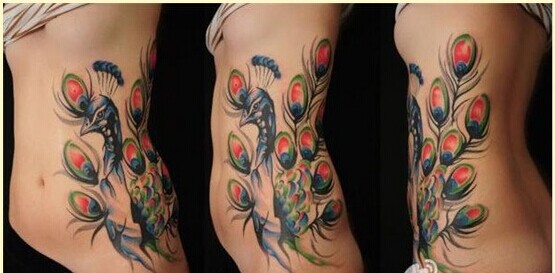 时尚女性侧腰孔雀纹身图案图片