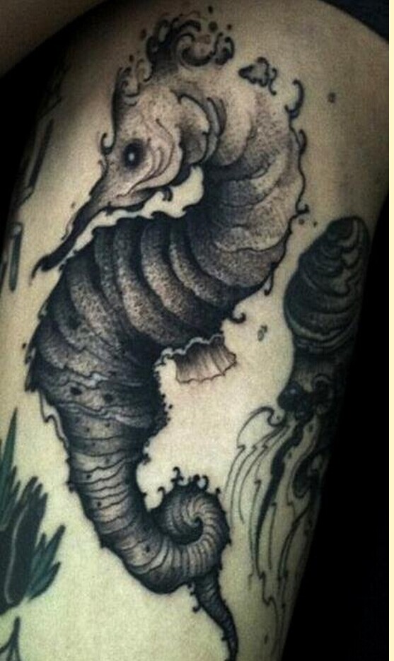 手臂黑灰海马纹身图案推荐图片