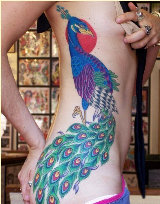 性感女性侧腰漂亮孔雀纹身图案图片