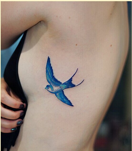 女性腰部时尚漂亮蓝色飞燕纹身图案图片