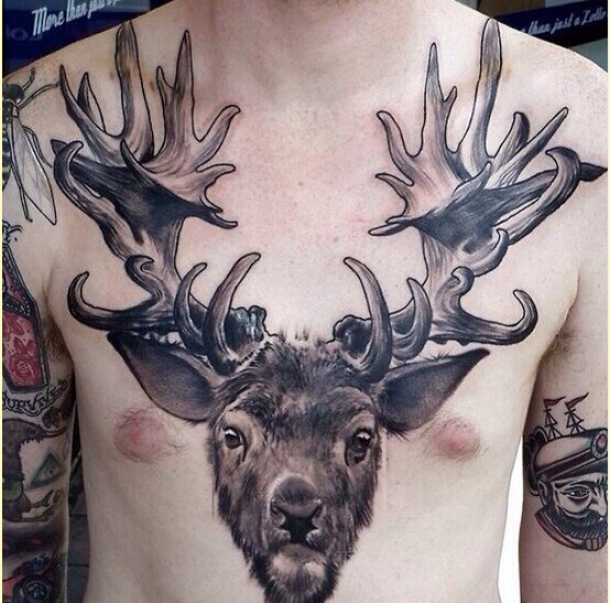 时尚胸口个性鹿纹身图案欣赏图片