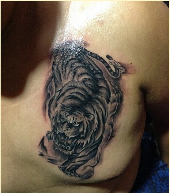 个性胸口霸气黑灰老虎纹身图案图片