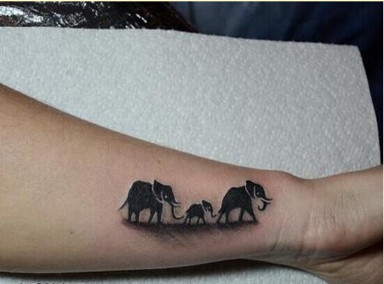 个性手臂时尚象纹身图案图片