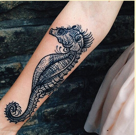 时尚手臂漂亮海马纹身图片图片