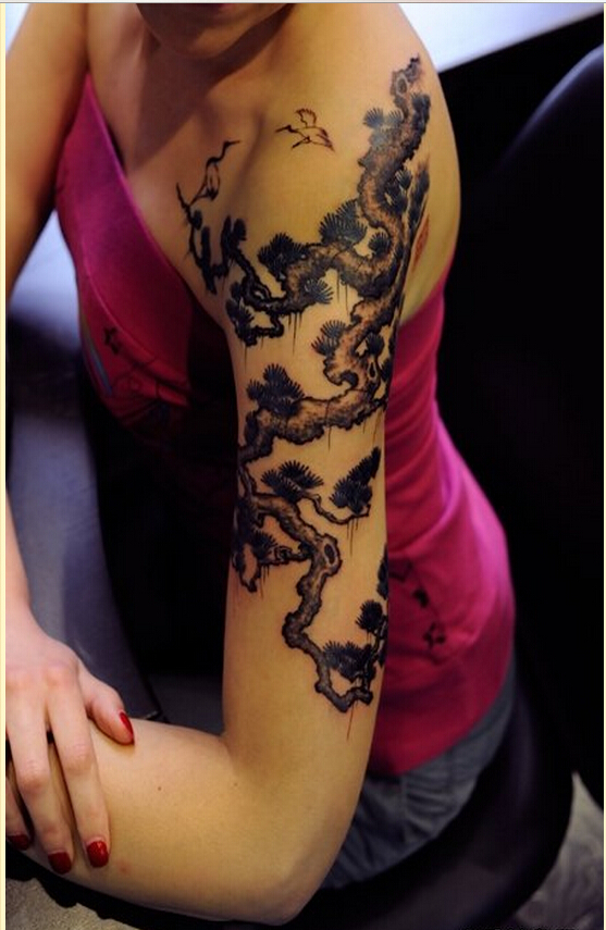 时尚女性胳膊漂亮松树纹身图案图片