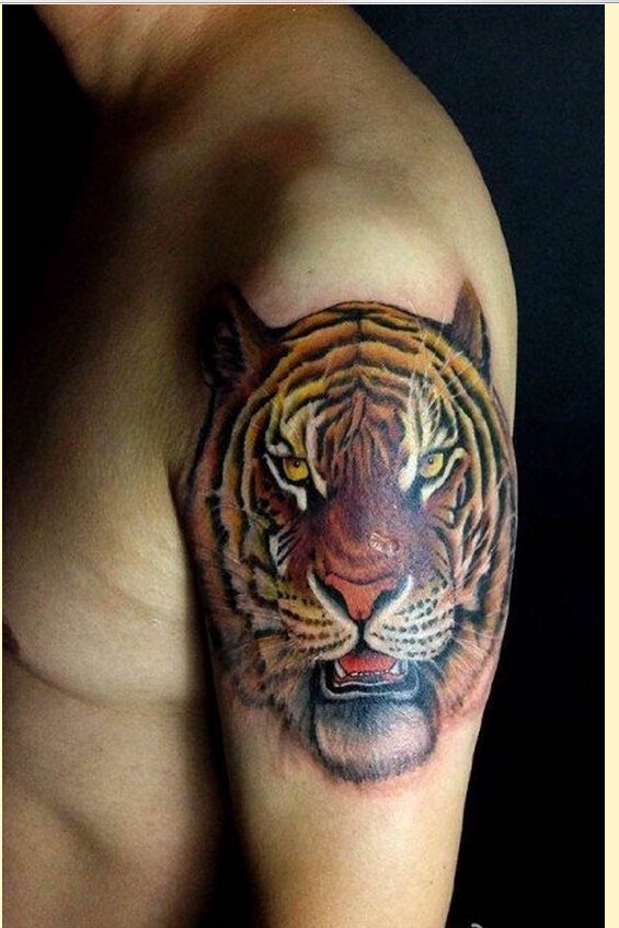 时尚男性手臂个性老虎头纹身图案图片