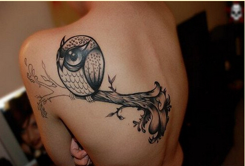个性女性肩部时尚好看的猫头鹰文身图图片