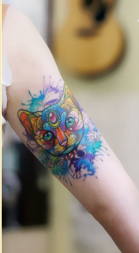 女性手臂漂亮好看的泼墨猫咪纹身图案图片