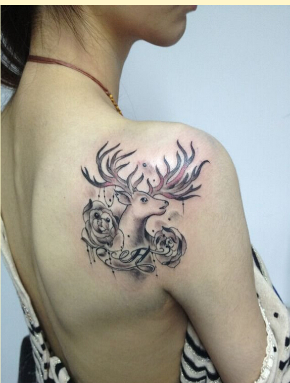 女性肩背漂亮好看的羚羊玫瑰花纹身图图片