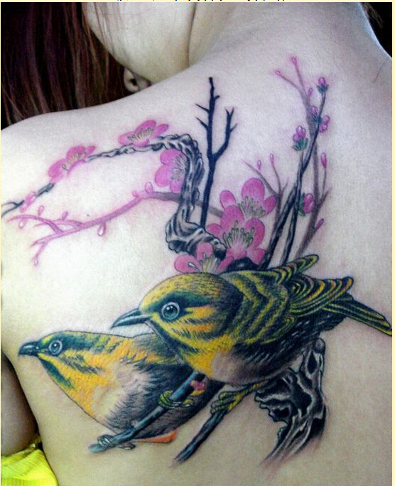 女孩子肩部精美好看的喜鹊梅花纹身图图片