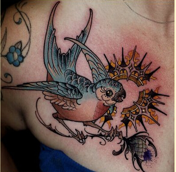 女性肩部时尚好看的彩色鸟类纹身图案图片