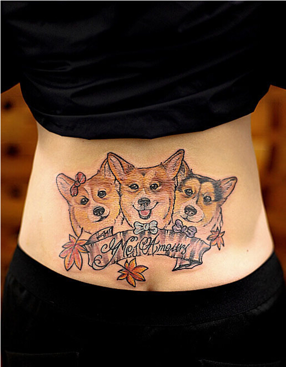 女性腰部时尚好看的狗狗纹身图案  图片