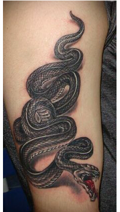帅气手臂经典时尚好看的蛇纹身图片  图片