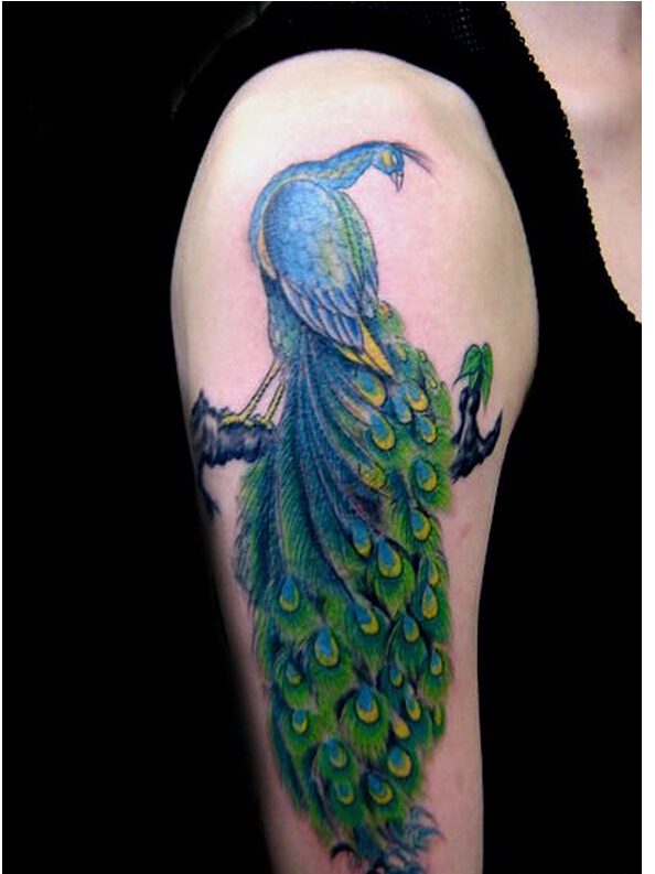 个性时尚手臂好看的彩色凤凰纹身图案图片