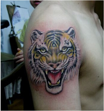 个性男性手臂霸气好看的彩色虎头纹身图片