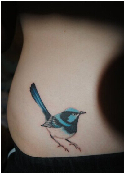 美女腰部时尚好看的彩色小鸟纹身图案图片