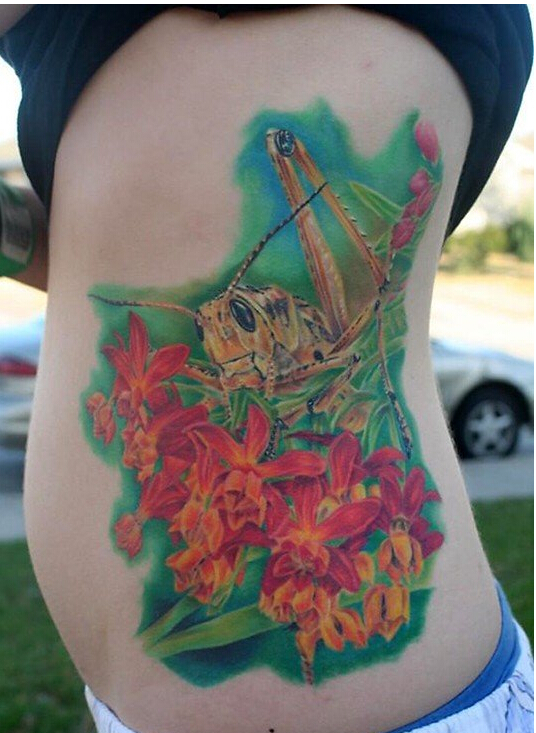 美女侧腰好看的上彩色螳螂纹身图案  图片