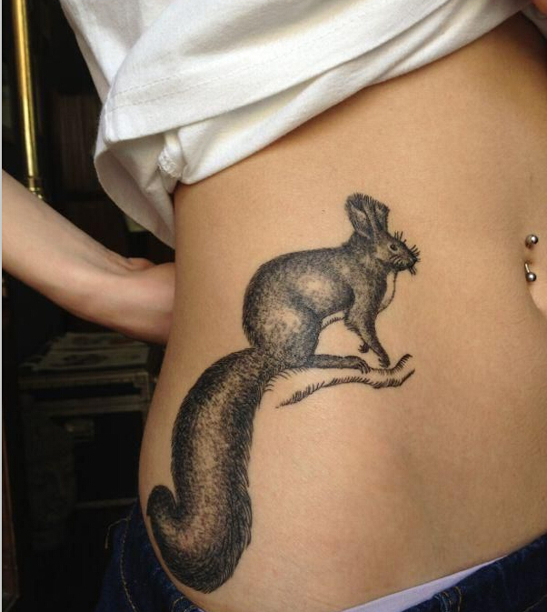 时尚女性腰部一只尾巴长长的松鼠纹身图片