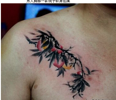 男人胸部唯美好看的桃子纹身图案  图片缩略频道推荐图