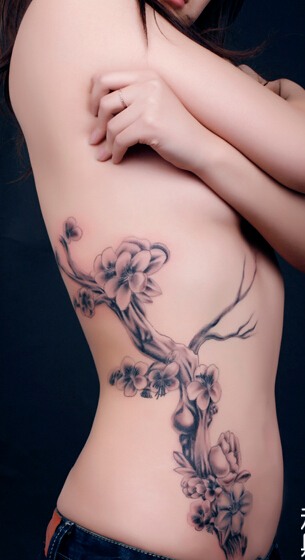 性感美女腰部漂亮好看的梅花树纹身图图片