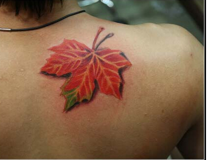 肩膀上精美好看的枫叶纹身图案图片