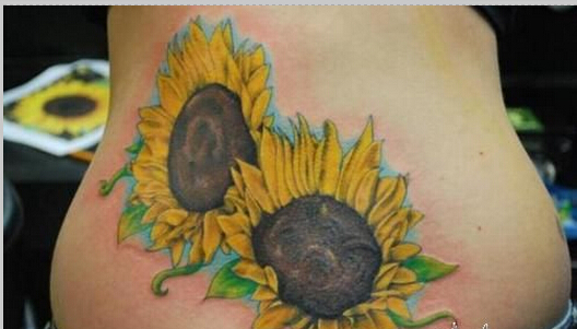 时尚腰部上两朵唯美好看的向日葵纹身图片