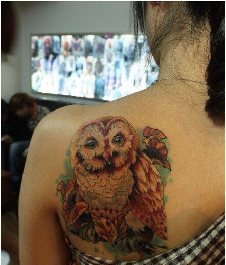 女生肩背时尚好看经典的猫头鹰纹身图图片