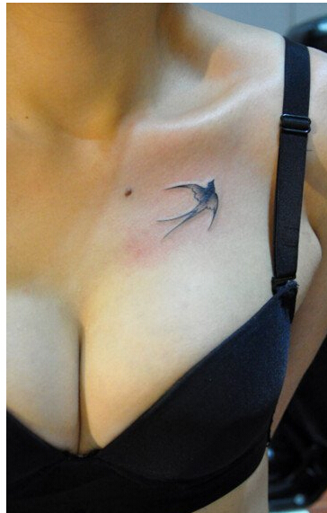 美女胸前简单时尚好看的小燕子纹身图图片