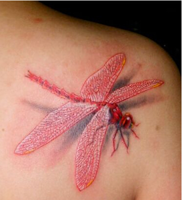 肩部可爱漂亮好看的彩色蜻蜓纹身图案图片