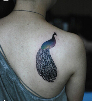 女生肩背漂亮好看的孔雀纹身图案图片
