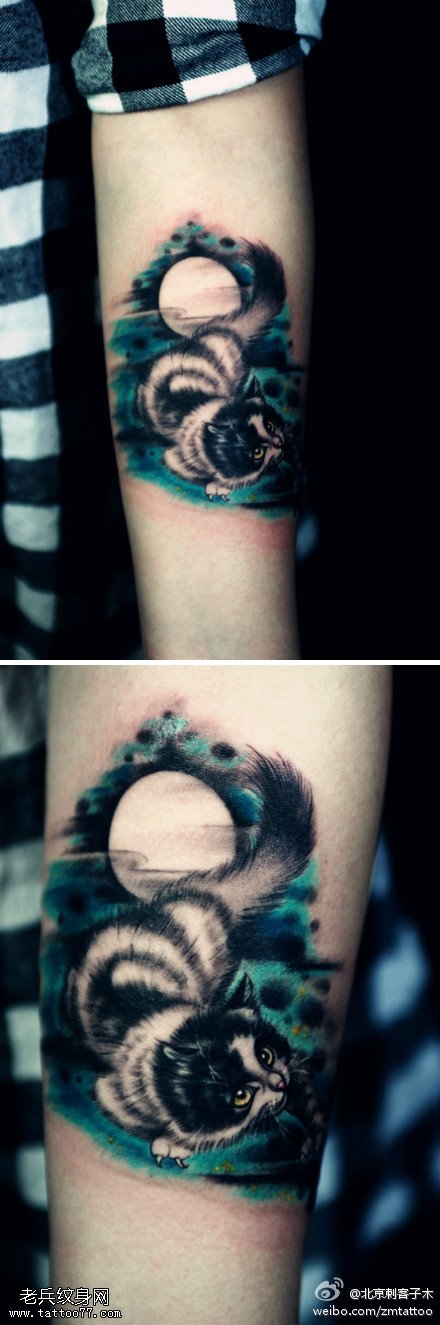 野性警惕狸猫纹身图案