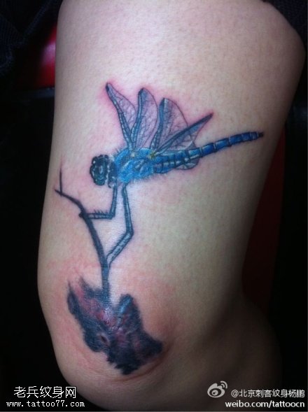 逼真形象昆虫纹身图案