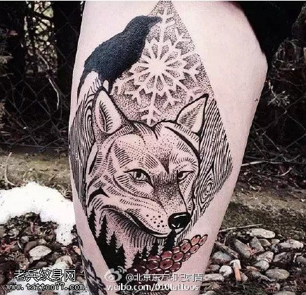 经典的狐狸乌鸦图腾纹身图案