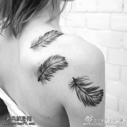 漂亮的羽毛漂亮纹身图案