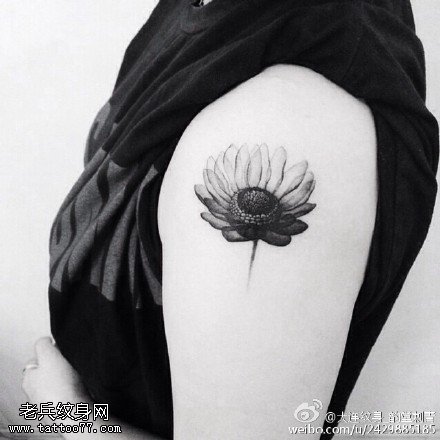 黑白向日葵花刺青纹身图案缩略频道推荐图