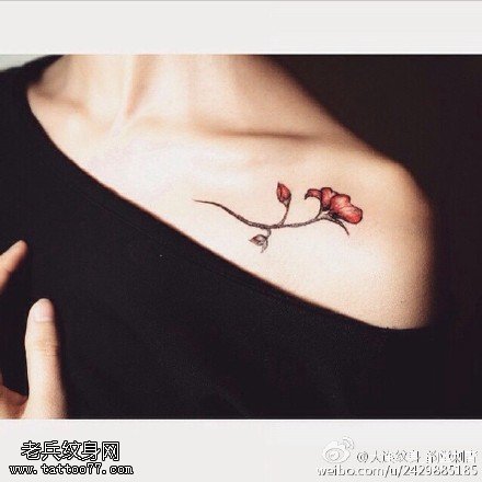 锁骨清新的小花纹身图案