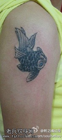 小巧精美金鱼纹身图案