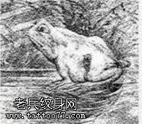 可爱乖巧青蛙纹身图案手稿