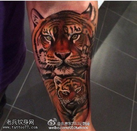 小腿上的老虎纹身图案