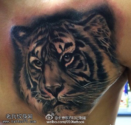 肩膀的老虎纹身图案