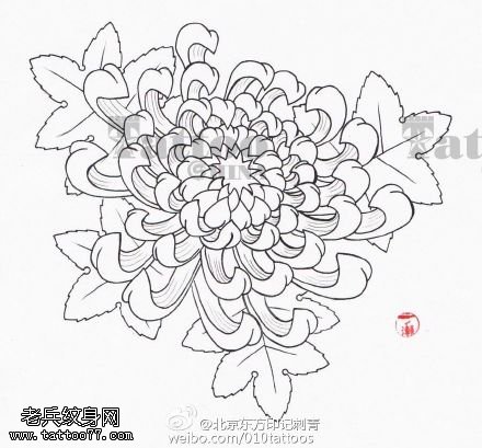 线条优美的菊花手稿纹身图案