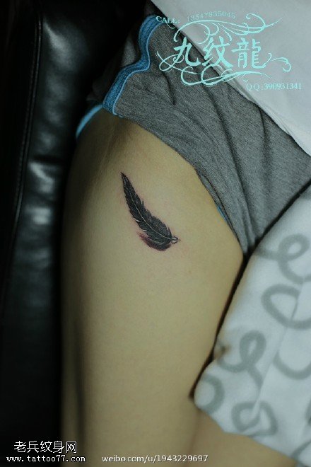 精致好看的羽毛纹身图案